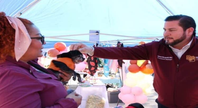 Ayuntamiento realiza la primera Feria del Bienestar Animal en Tijuana