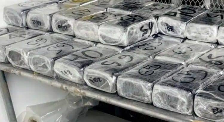 Decomisan 434 kg de droga en Baja California