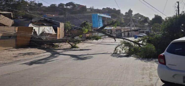 Van más de 200 reportes que atiende Protección Civil Tijuana por la condición Santa Ana