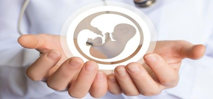 Cierra 2024 con más de mil 300 abortos en Baja California