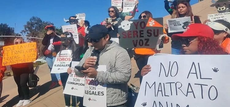 Activistas exigen que se prohíban las corridas de toros