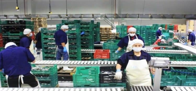Crece en Baja California 2.1% la actividad económica del comercio