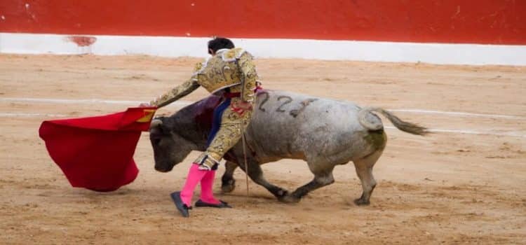 Podrían regresar a Tijuana las corridas de toros, tras casi dos años de suspensión