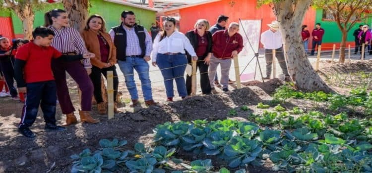 Huertos escolares y comunitarios benefician a más de 9 mil personas en BC