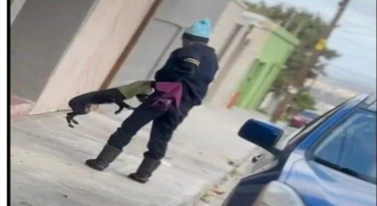 Rescatan a perro de maltrato animal en Tijuana