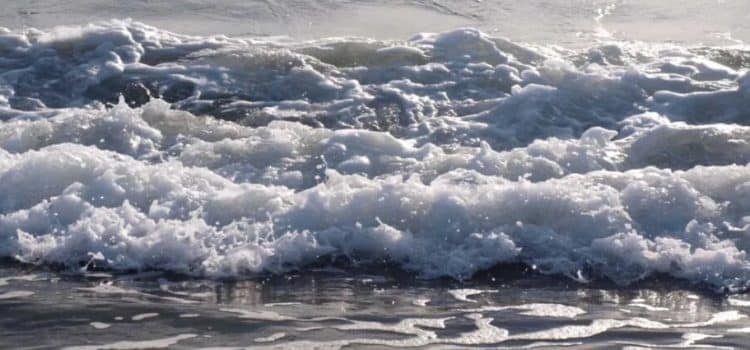 Alertan por cierre de las Playas en Tijuana por alto oleaje
