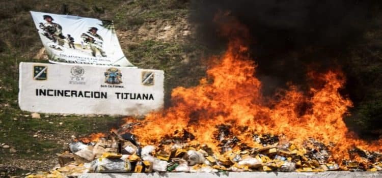 La FGR incineró cerca de 6 toneladas de droga