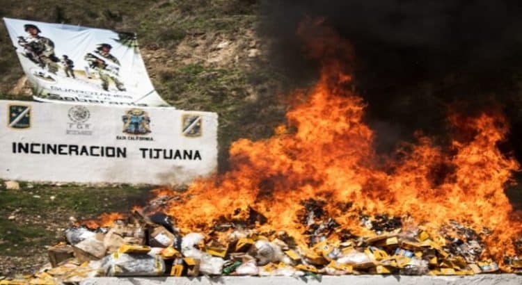 La FGR incineró cerca de 6 toneladas de droga