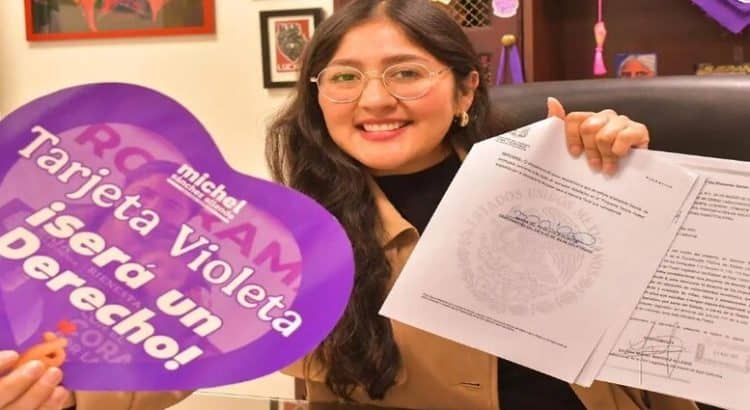 Proponen elevar a nivel constitucional el Programa Violeta en Baja California