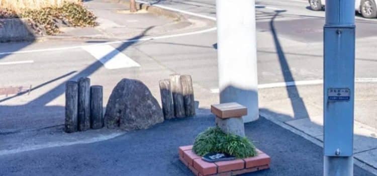 Japón rompe récord mundial con el parque más pequeño del mundo