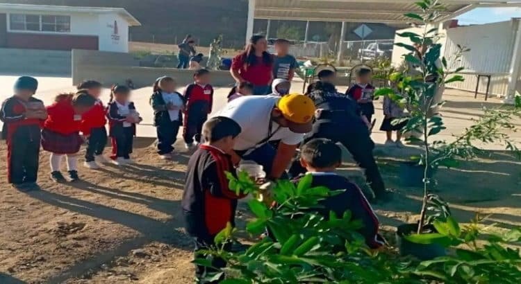 Planta Ayuntamiento más de 160 árboles en Tijuana