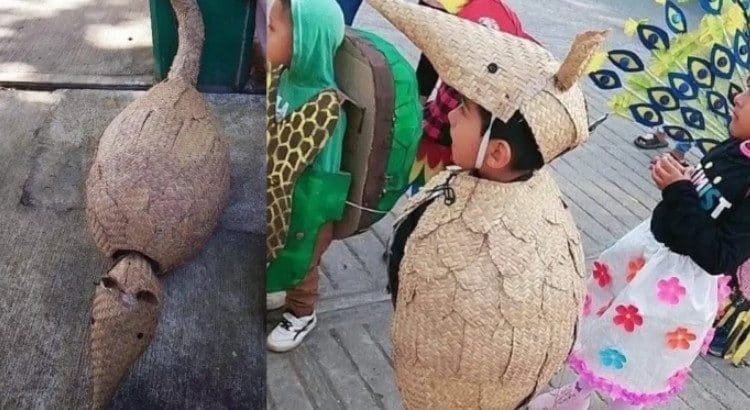 El “niño armadillo” la rompe en redes