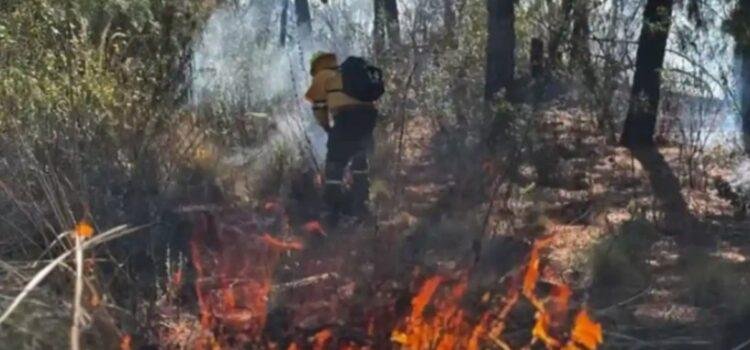 Temporada de Incendios Forestales 2025, la segunda más crítica de la historia