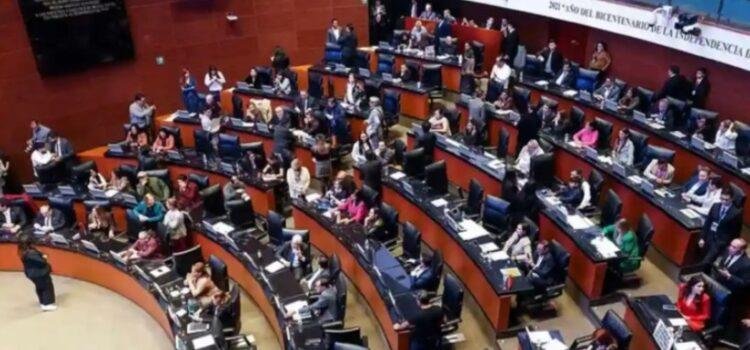 Aprueba el Senado nueva CURP biométrica Aprueba el Senado nueva CURP biométrica