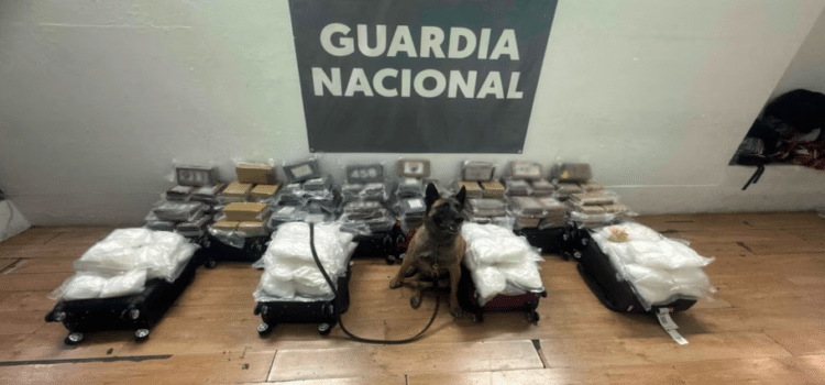 Abandonan cocaína y metanfetamina  en aeropuerto de Tijuana