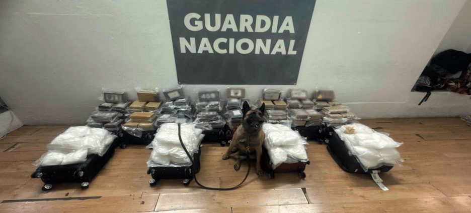 Abandonan cocaína y metanfetamina  en aeropuerto de Tijuana