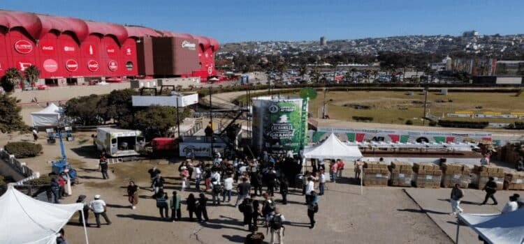 Tijuana supera el récord de la margarita más grande del mundo