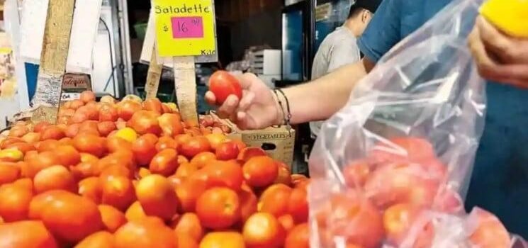 No hay país que pueda sustituir a México en la producción de tomate No hay país que pueda sustituir a México en la producción de tomate