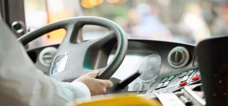 Captan a chofer de Transporte Violeta viendo contenido para adultos