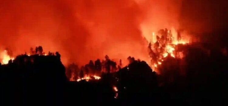 Crisis climática, “una amenaza urgente y existencial”: CIJ Crisis climática, “una amenaza urgente y existencial”: CIJ
