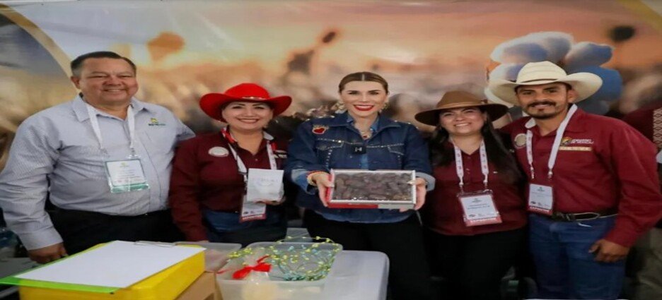 Baja California se convierte en líder nacional en producción de dátil