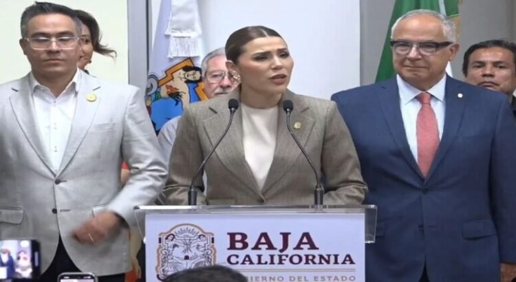 Proponen 8 años de cárcel por “halconeo” con videocámaras en Baja California