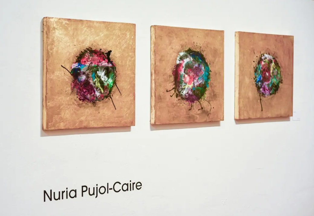Inauguran en Tijuana la exposición “Caos/Cosmos. Observaciones de lo infinito a lo mundano” de la artista Nuria Pujol-Caire